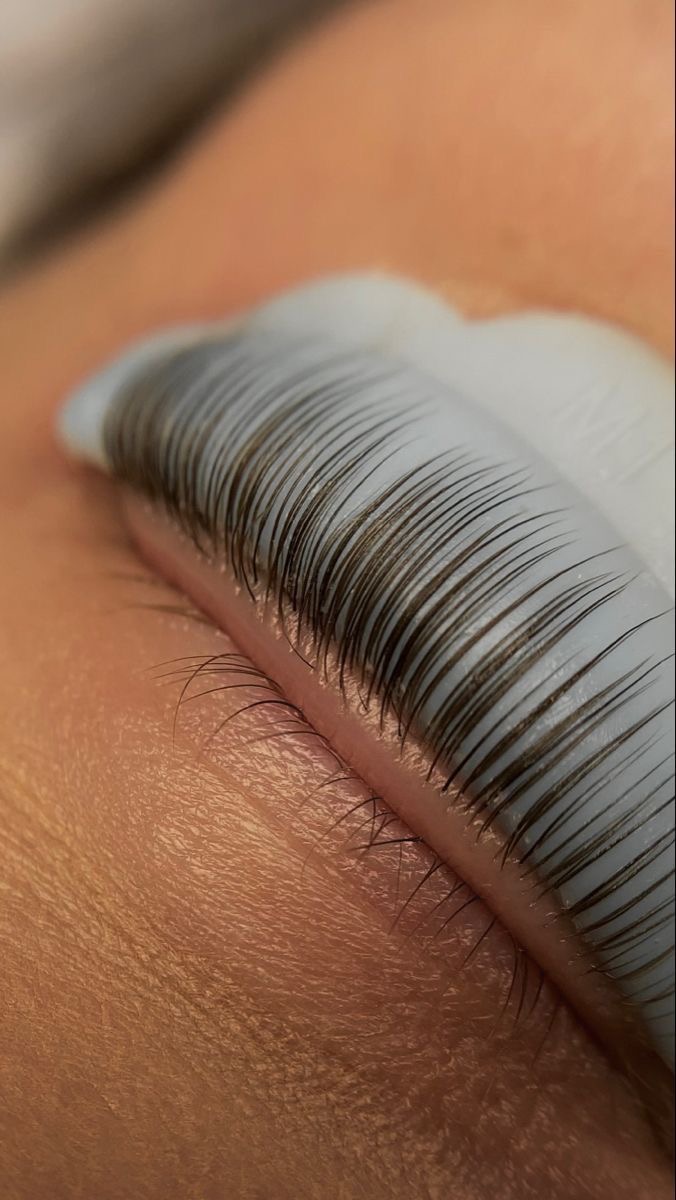 Denisa Koníková - Lashes | Brows | Henna
